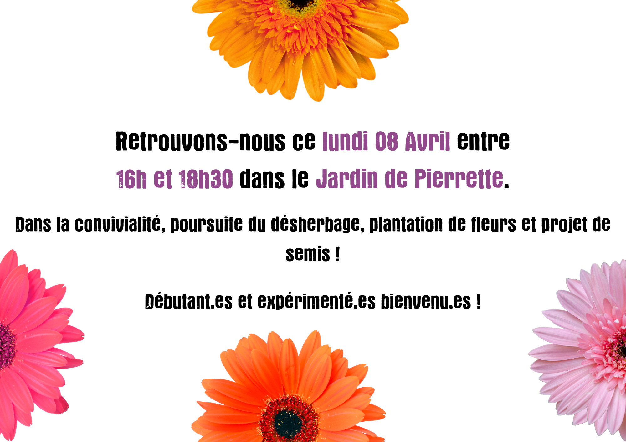 Je Prépare Mes Potions Pour Le Jardin